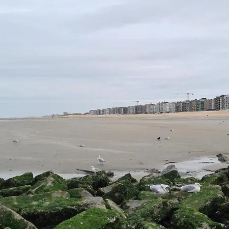Apartamento In Ostend With Stunning Sea View, Cleaning Included